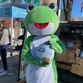 Frog With Turkey