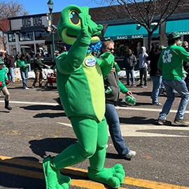 Law Frog on a Walk