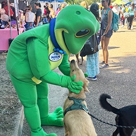 Law Frog with Dogs