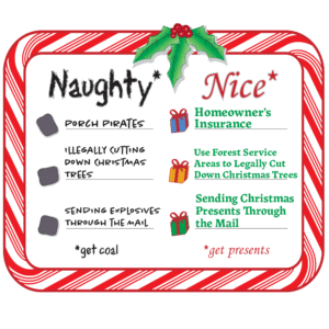 Naughty and nice list for following the law this holiday season