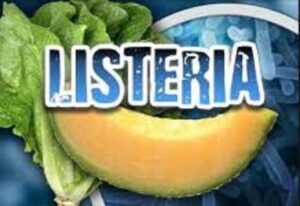 melon with listeria