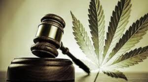 marijuana and the law